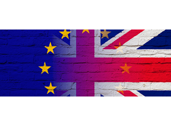 Beyond Brexit Guide