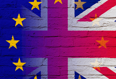 Beyond Brexit Guide